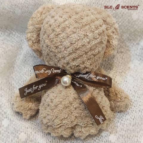 Bear Cozy Bundle Christmas