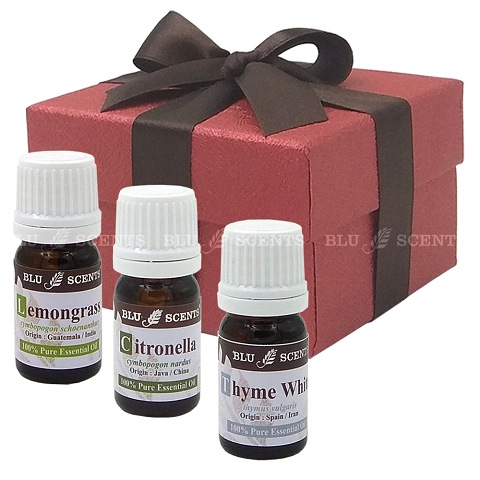 Bugs Off Pure Essential Oil Remedy