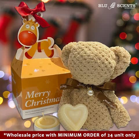 Bear Cozy Bundle Christmas