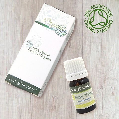 ORGANIC YLANG-YLANG 5ml Pure Essential Oil - Click Image to Close