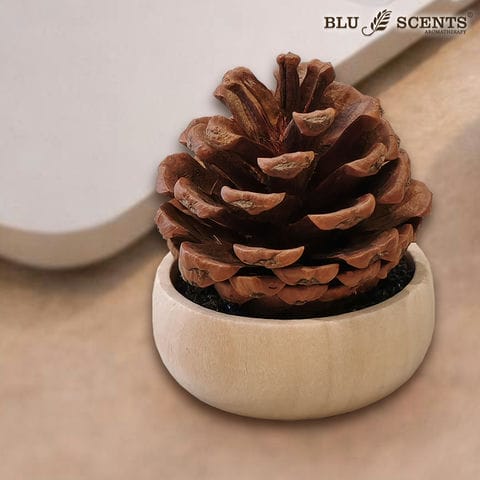 Pine Cone Diffuser Pine Cone Diffuser