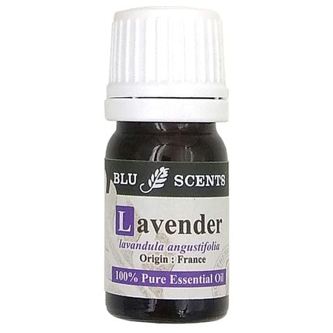 Relax Lavender with Tulip Burner Gift