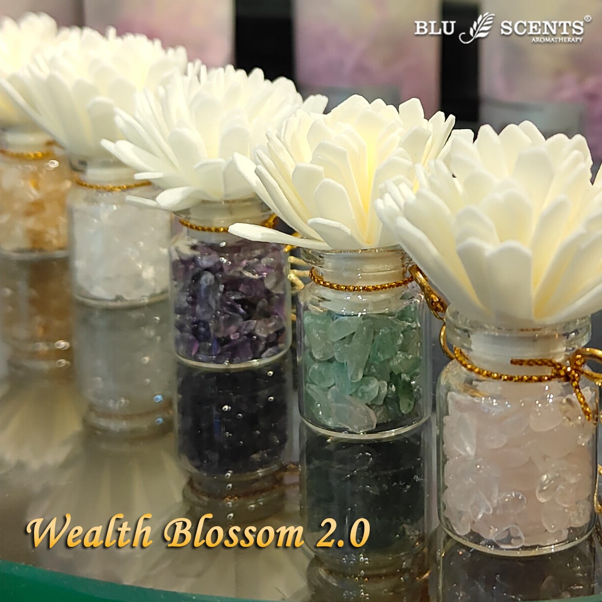 Wealth Blossom 2.0