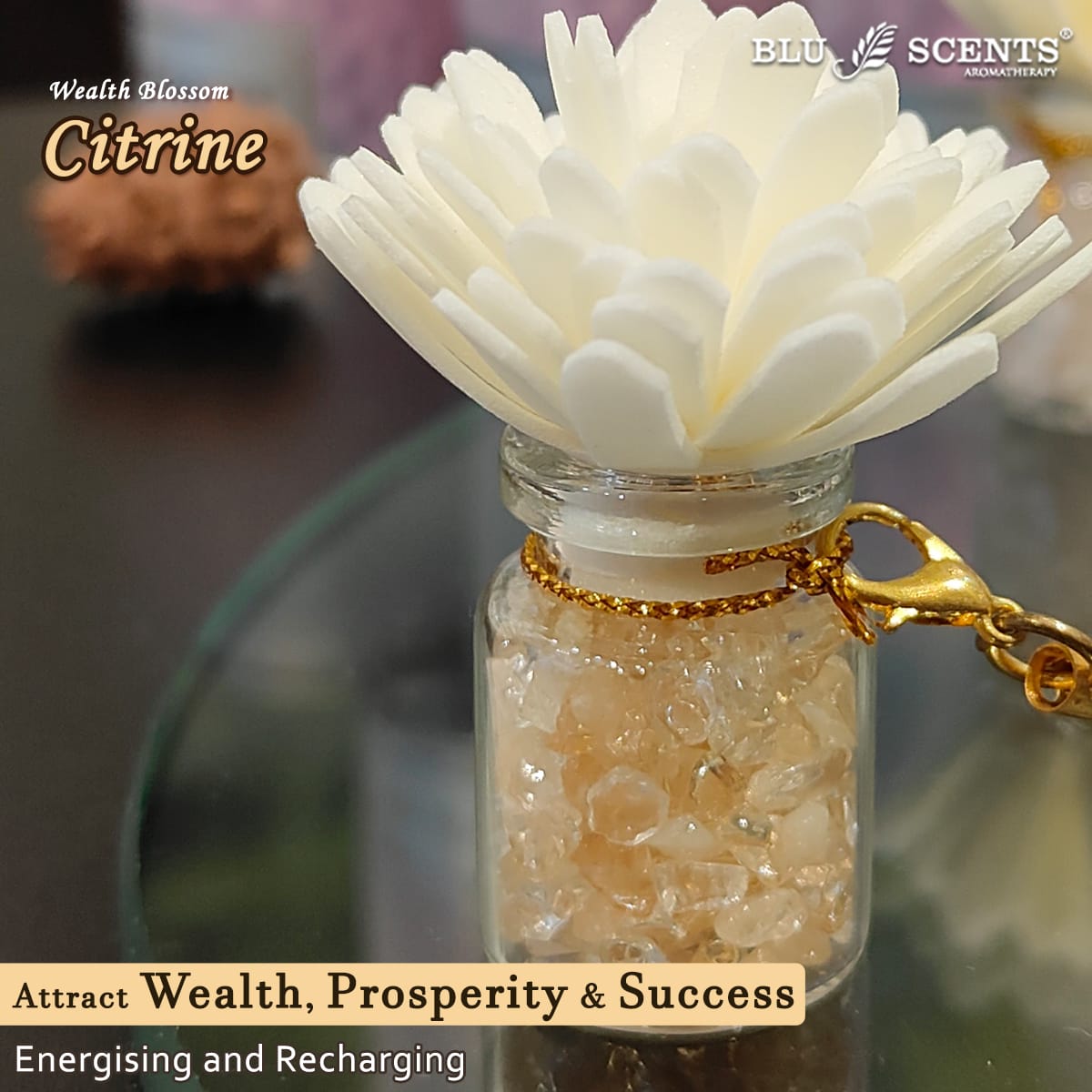 Wealth Blossom 2.0