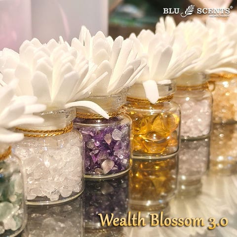 Wealth Blossom 3.0 Wealth Blossom 3.0