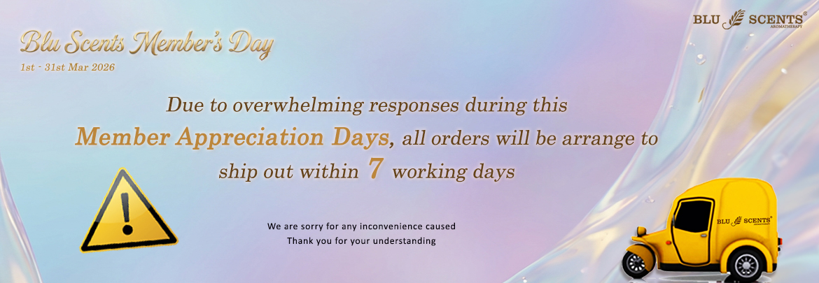 dec shipping dec shipping